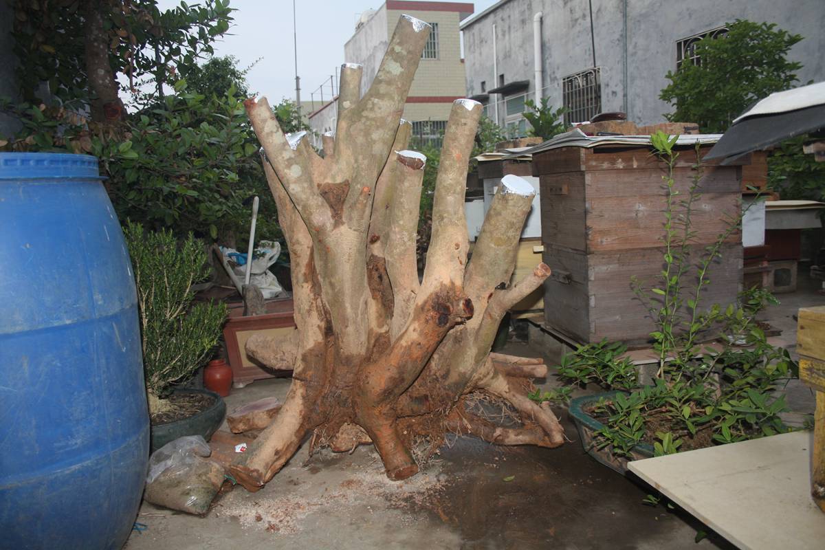 Ƭ20131026ۺ 1389.jpg