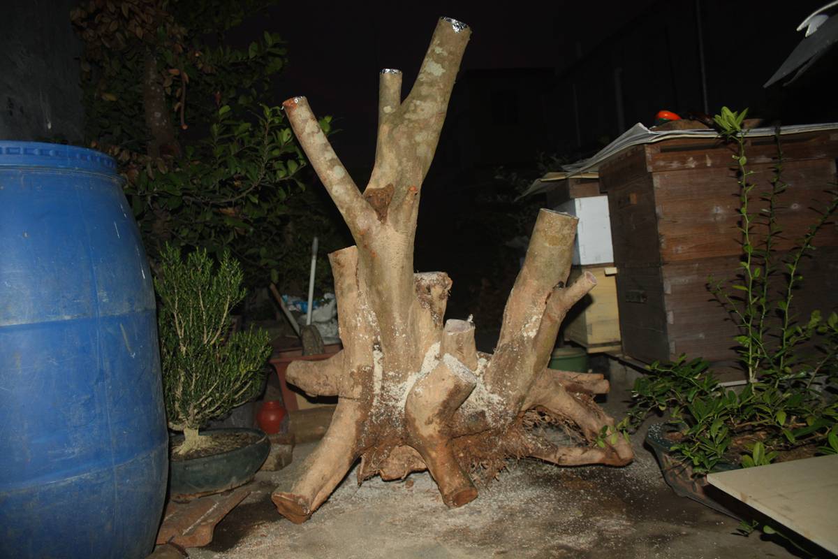 Ƭ20131026ۺ 1391.jpg