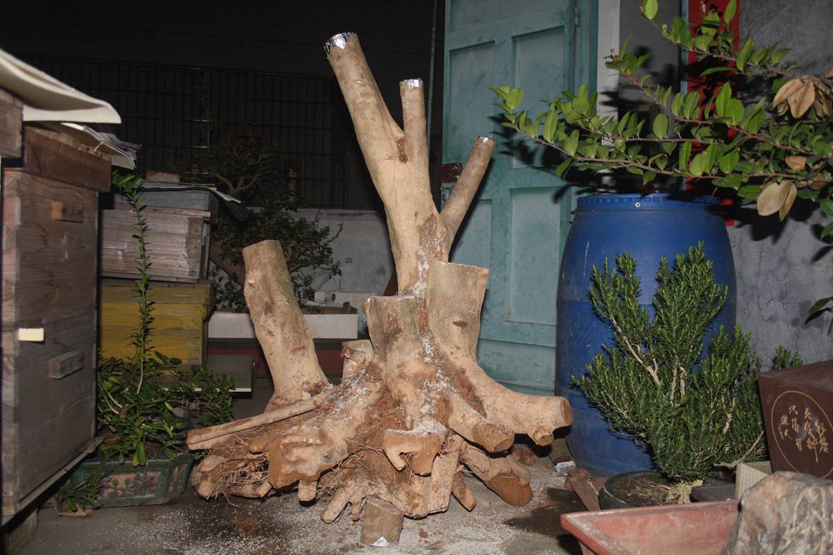 Ƭ20131026ۺ 1394.jpg