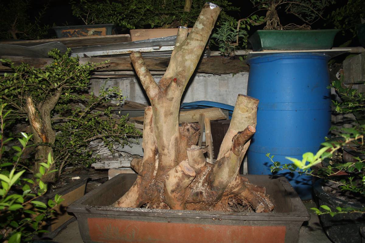 Ƭ20131026ۺ 1396.jpg