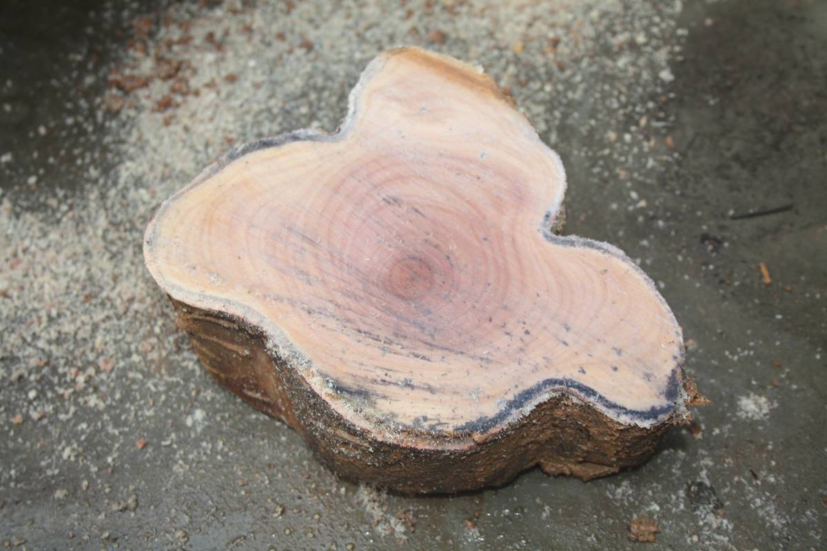 Ƭ20131026ۺ 1384.jpg