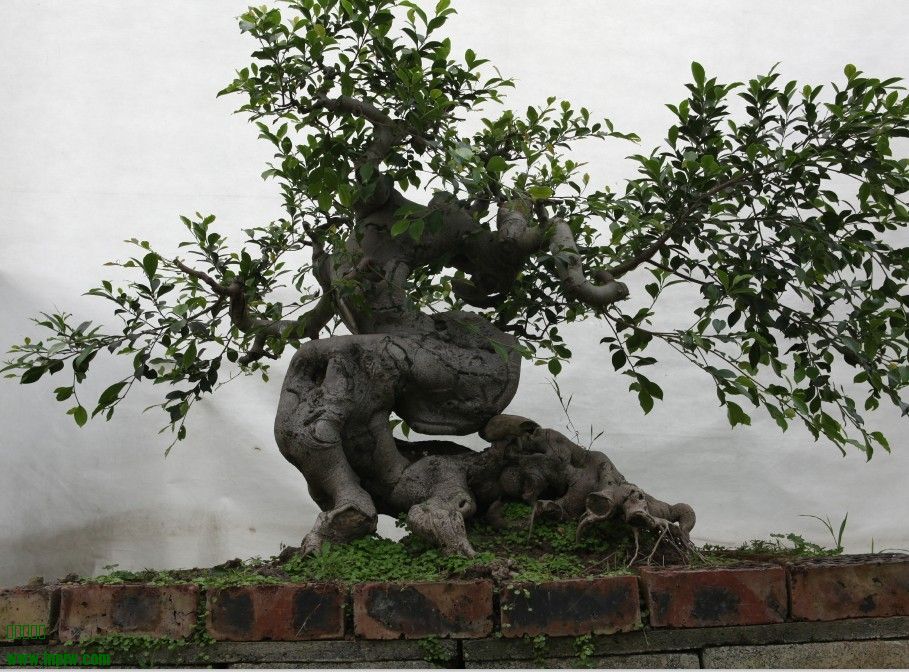 26.jpg