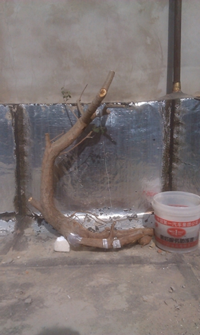 IMAG0256.jpg