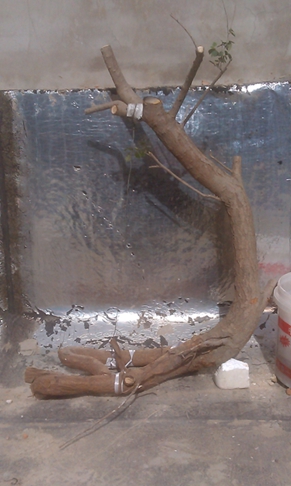 IMAG0260.jpg