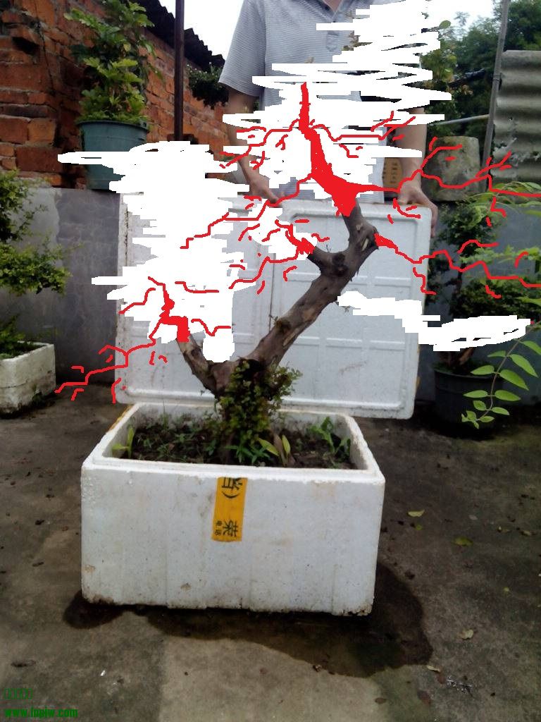 205653nb0brv9upp5zwybj.jpg.thumb.jpg