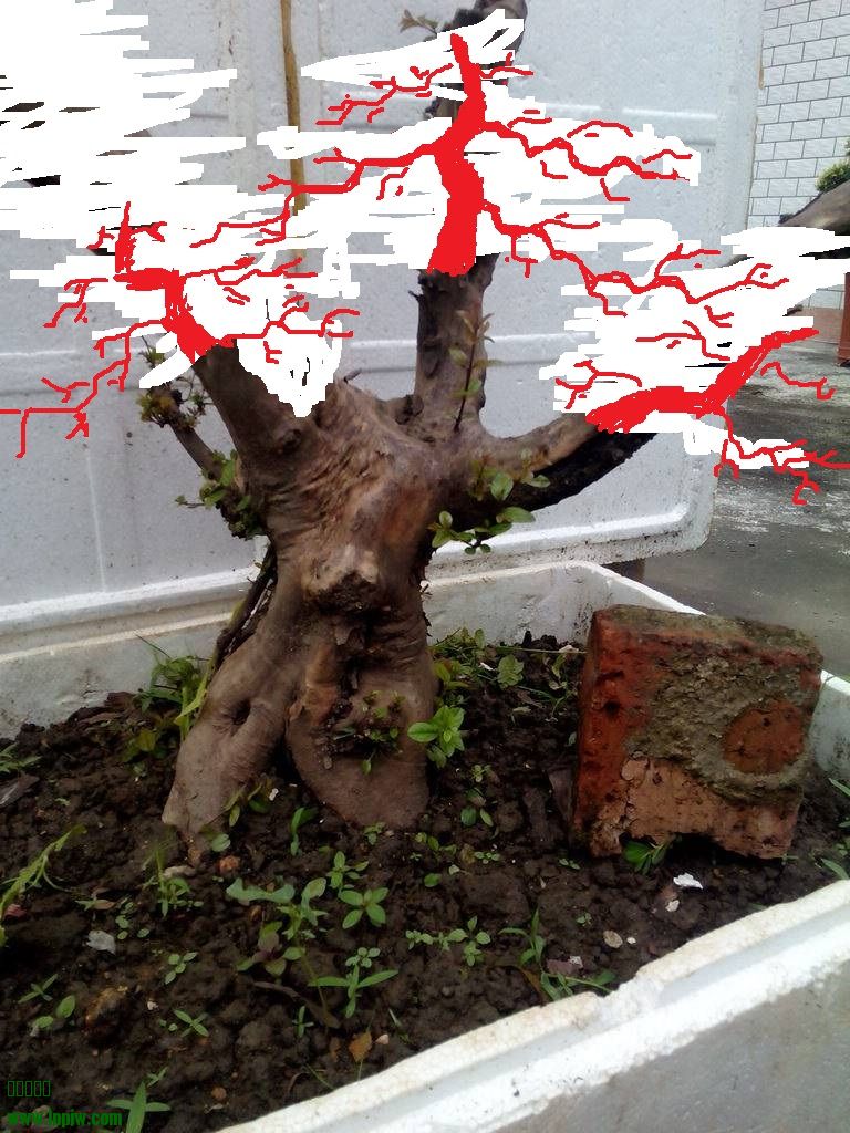 205736tecvv5cv3edm1dv7.jpg.thumb.jpg