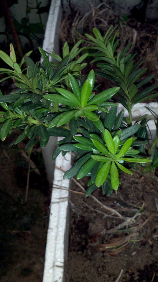 2014-05-29_19-25-31_985_conew1.jpg