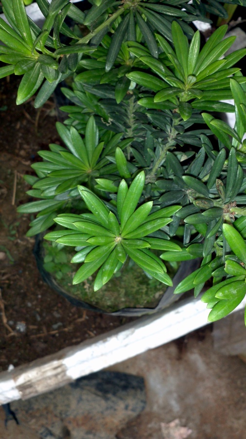 2014-05-29_19-25-20_686_conew2.jpg