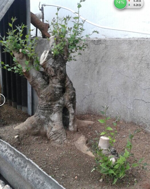 QQͼƬ20140610185604.jpg