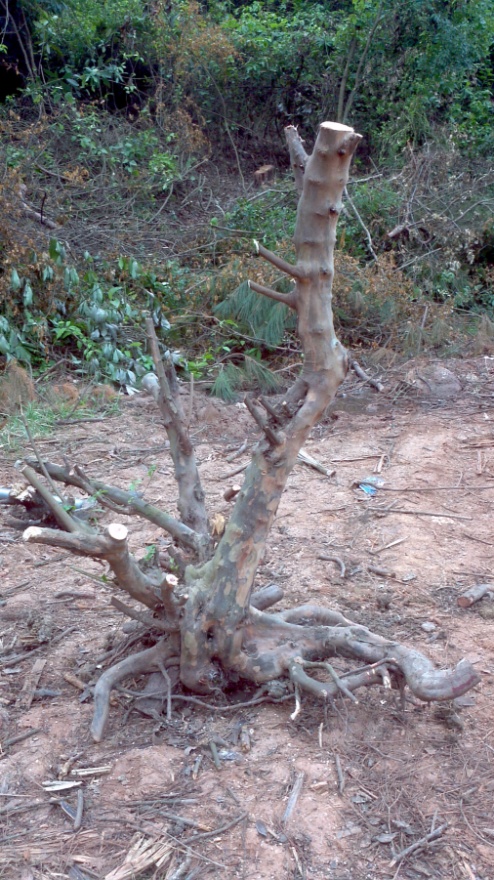 2014-04-30_14-56-29_370_conew1.jpg