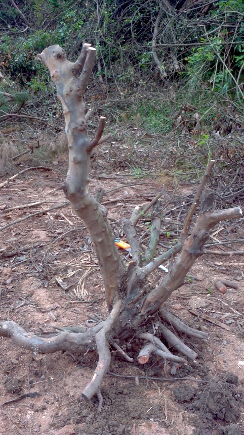2014-04-30_14-56-46_772_conew1.jpg