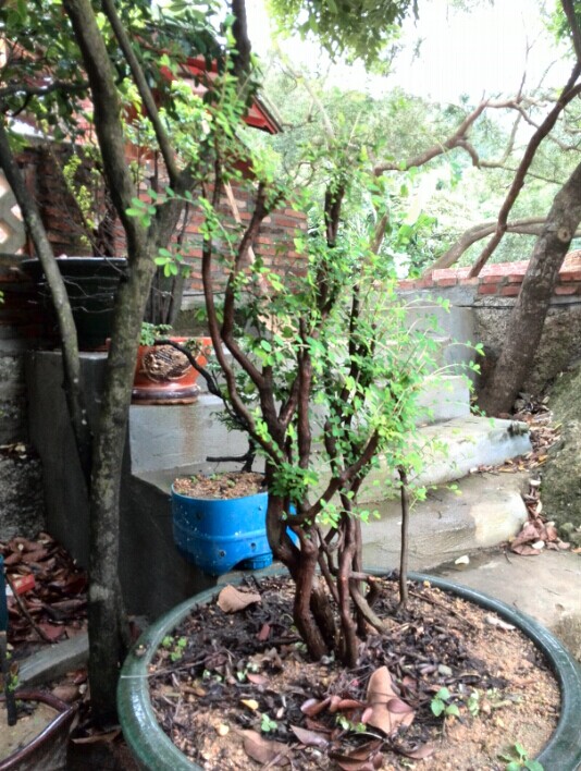 QQͼƬ20140612205248.jpg