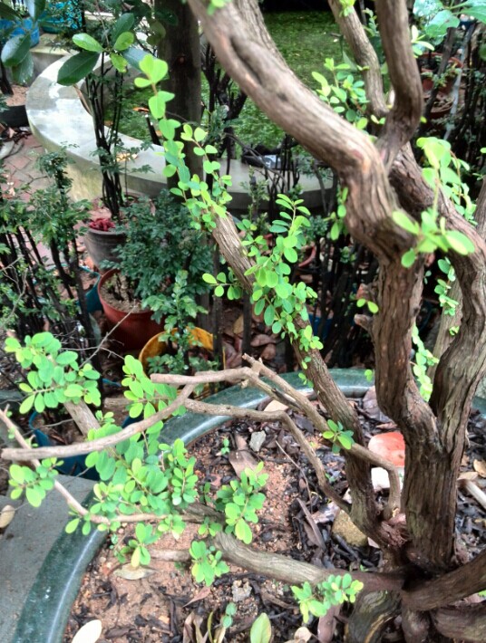 QQͼƬ20140612205311.jpg