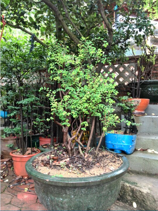 QQͼƬ20140612205346.jpg