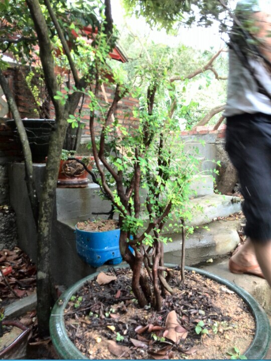 QQͼƬ20140612205431.jpg
