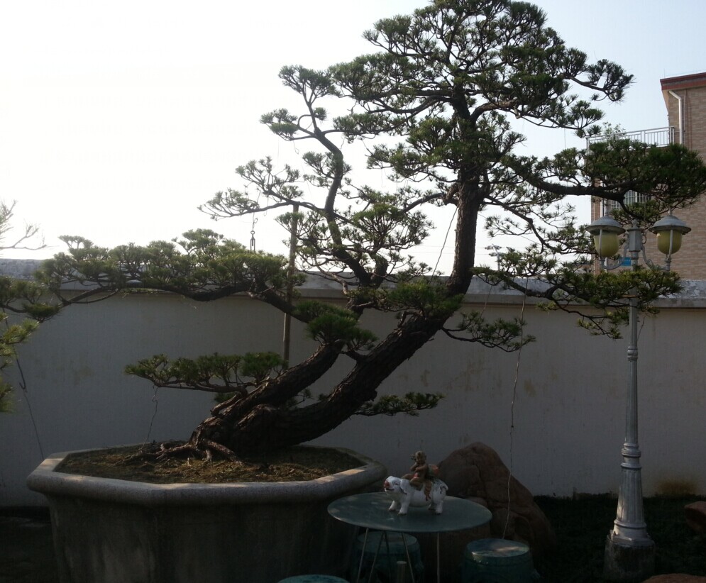 QQͼƬ20140613012634.jpg