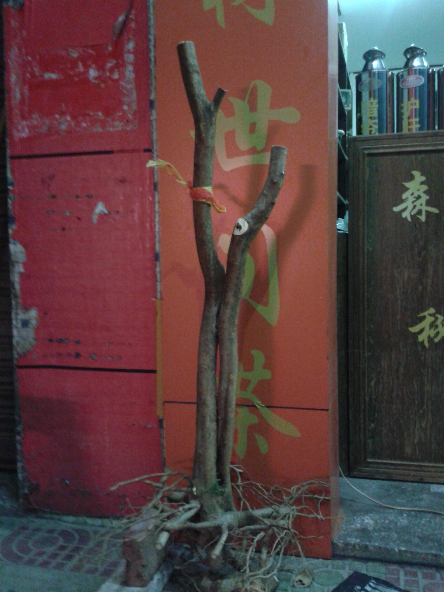 20140613_220613.jpg