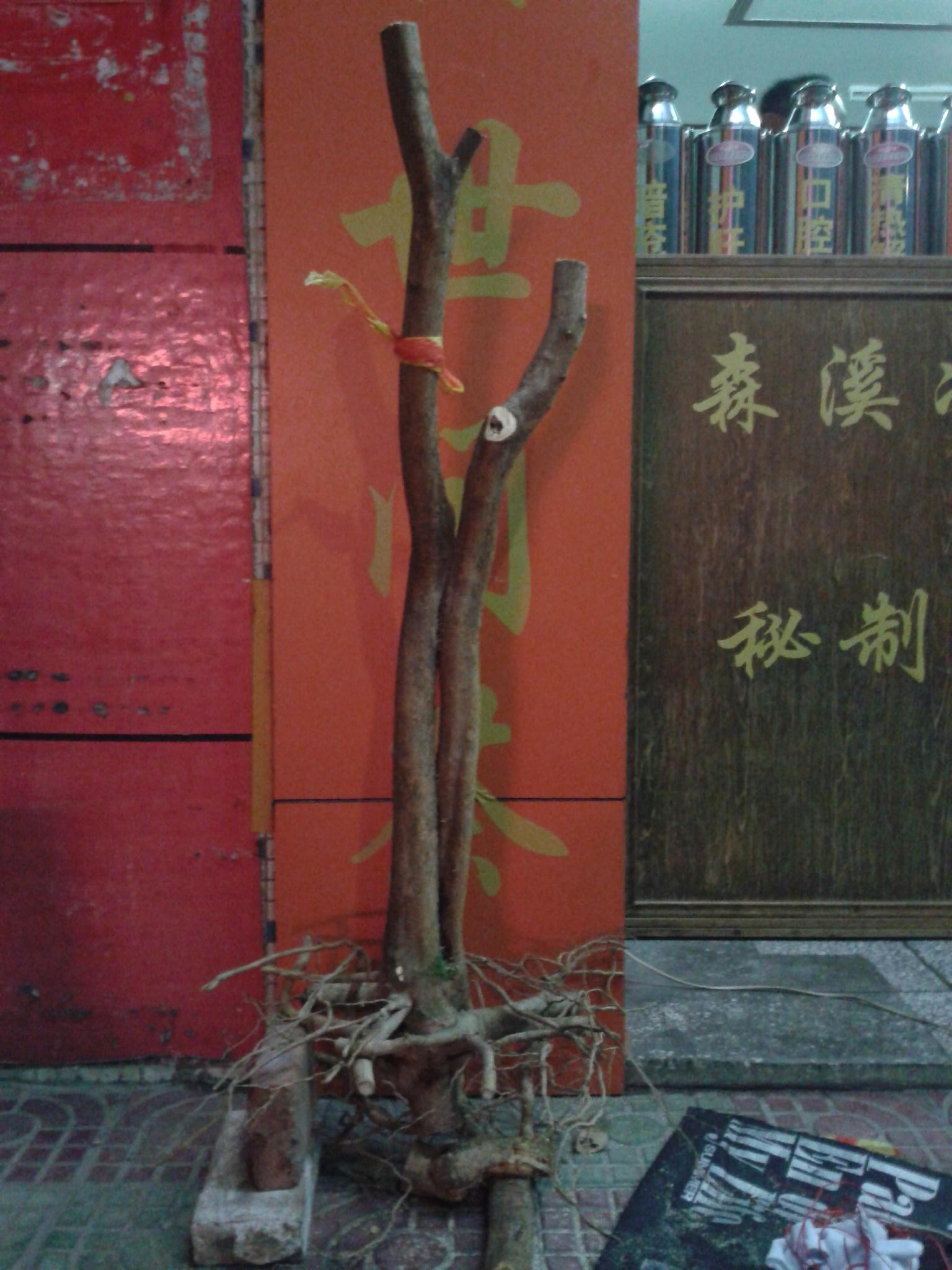 20140613_220533.jpg