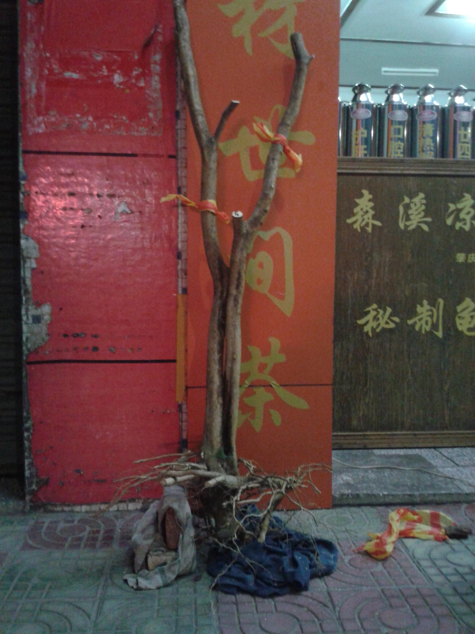20140613_204325.jpg