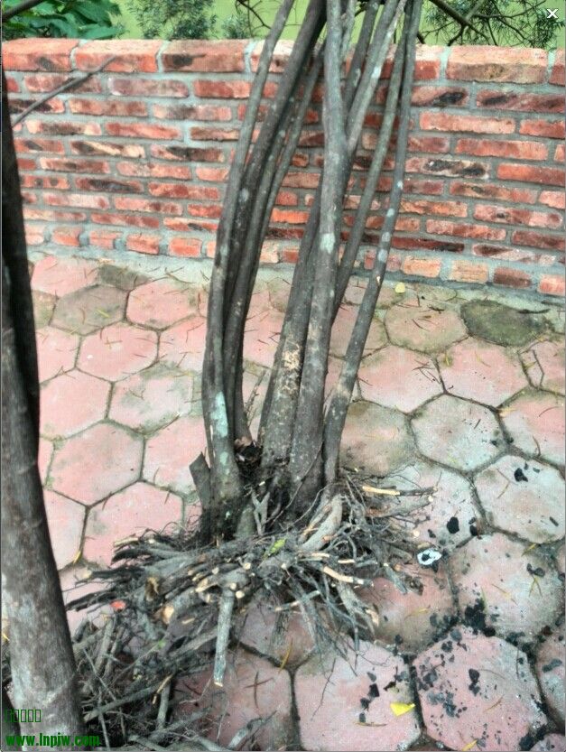 QQͼƬ20140616222618.jpg