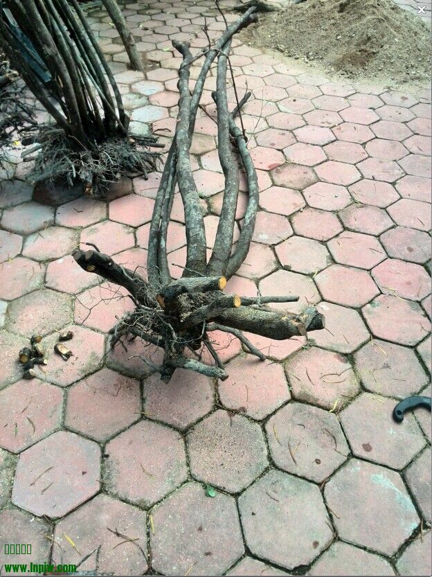 QQͼƬ20140616222633.jpg