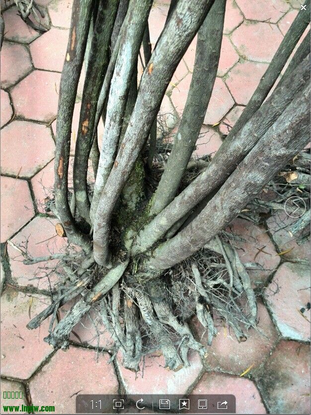 QQͼƬ20140616222706.jpg