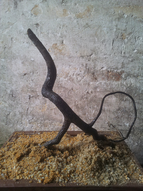 20140617_101601_.jpg
