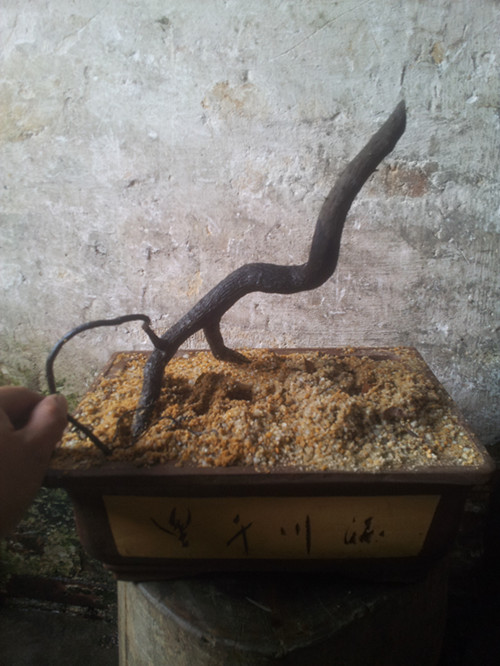 20140617_101947_.jpg