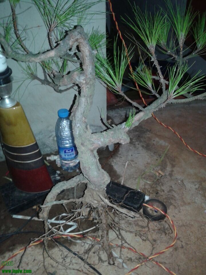 QQͼƬ20140618075018.jpg