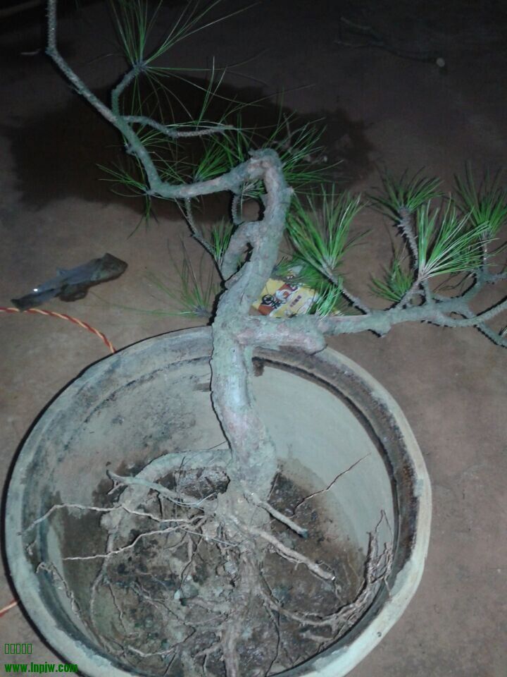 QQͼƬ20140618075013.jpg
