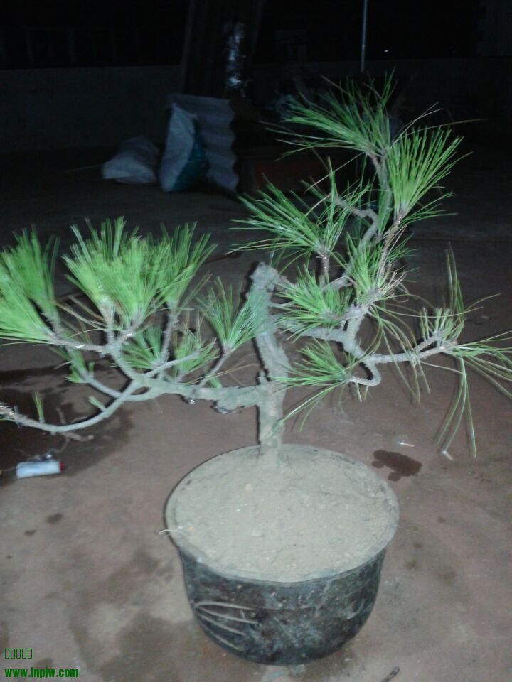 QQͼƬ20140618075008.jpg