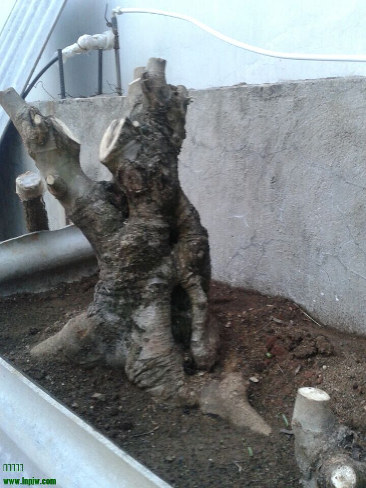 QQͼƬ20140613124328.jpg