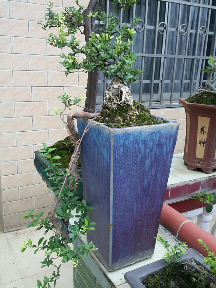 QQͼƬ20140619195544.jpg