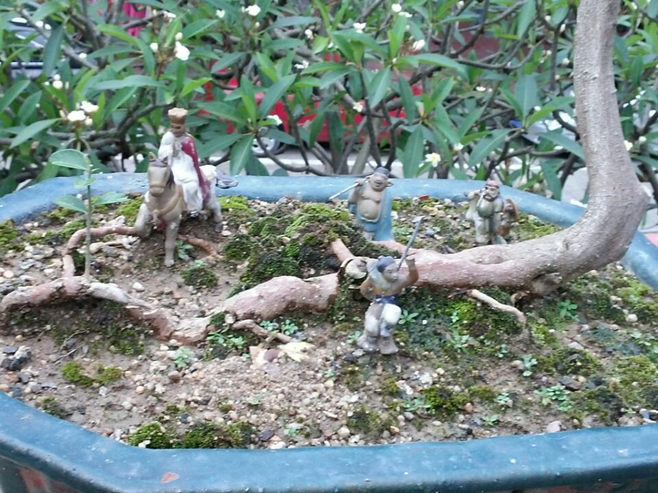 QQͼƬ20140619195551.jpg