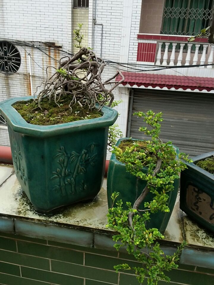 QQͼƬ20140619195611.jpg