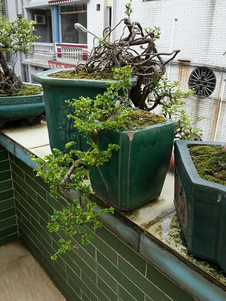 QQͼƬ20140619195622.jpg
