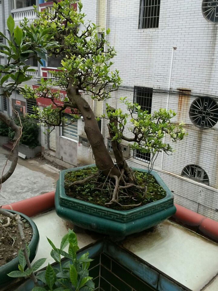 QQͼƬ20140619195629.jpg