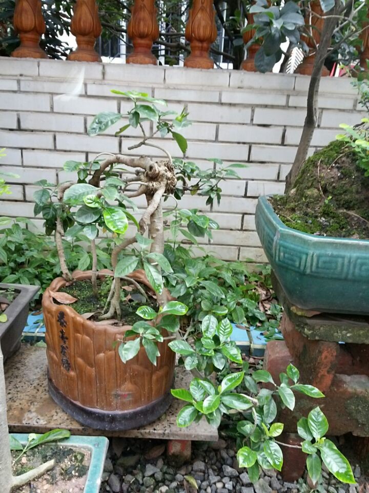 QQͼƬ20140619195752.jpg