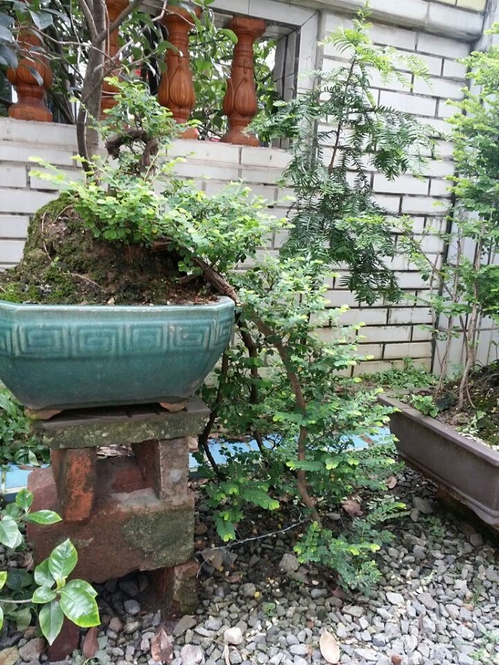 QQͼƬ20140619195805.jpg