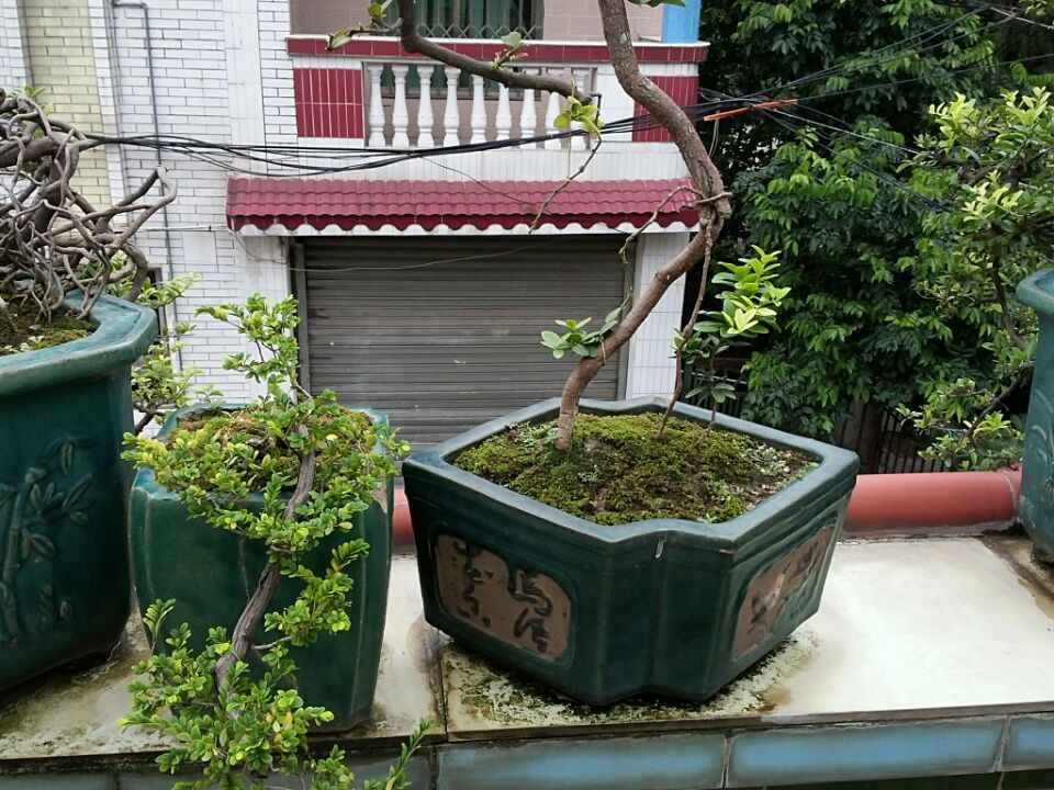 QQͼƬ20140619195732.jpg
