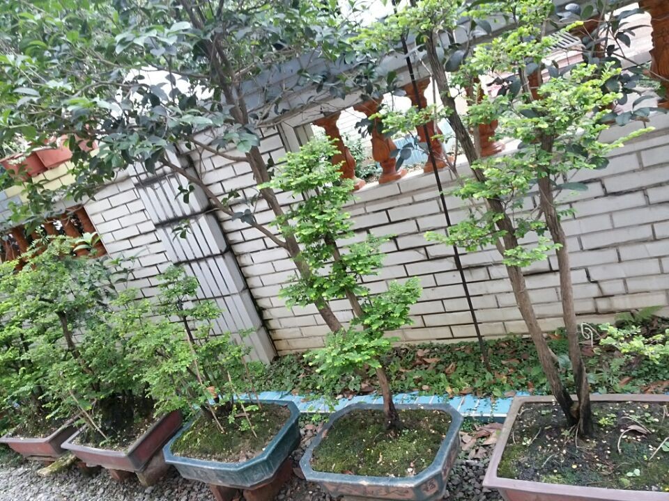 QQͼƬ20140619195839.jpg