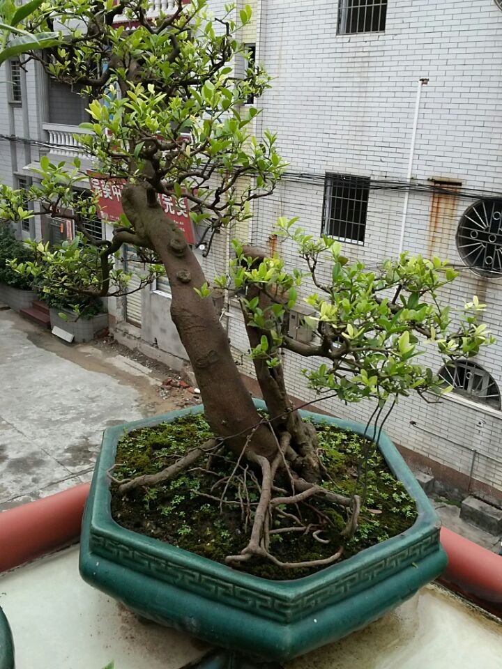 QQͼƬ20140619195746.jpg