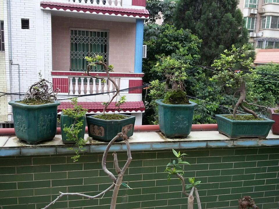QQͼƬ20140619195636.jpg