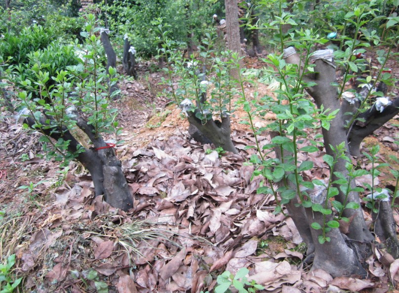 QQͼƬ20140620074416.jpg