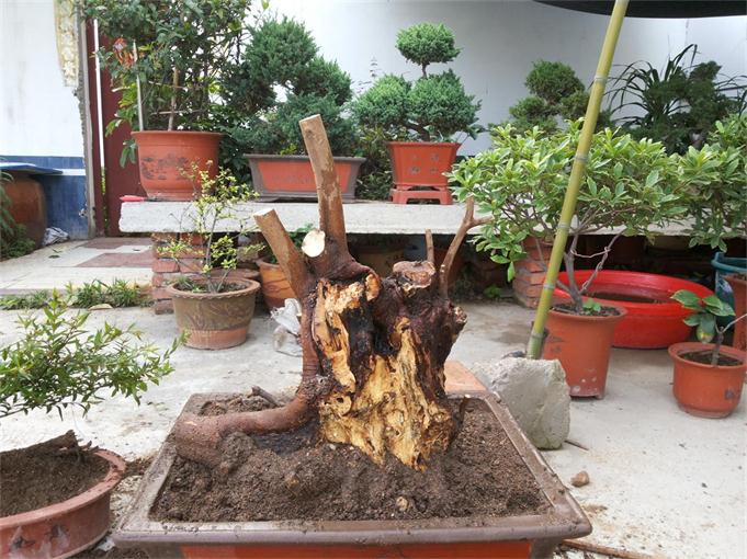 20140619_172906.jpg