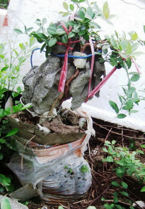 DSCF5549.jpg
