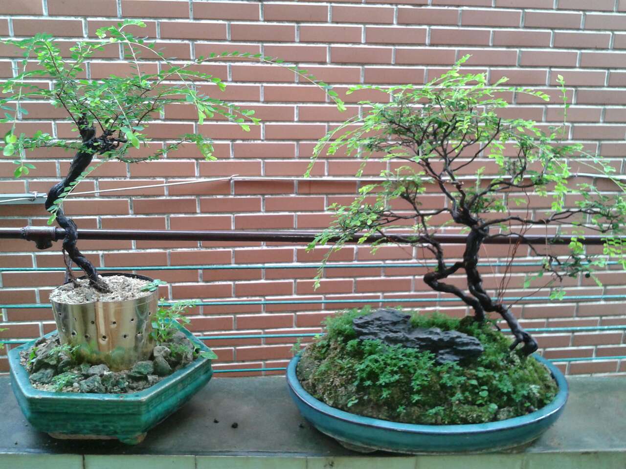 mmexport1403348316101.jpg