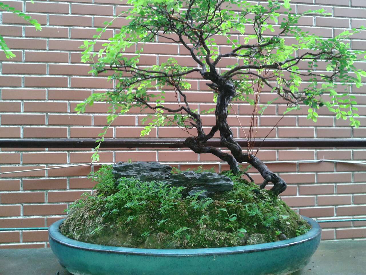 mmexport1403348303556.jpg