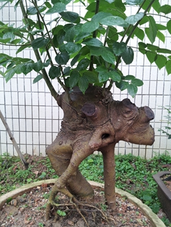20140516_080348.jpg