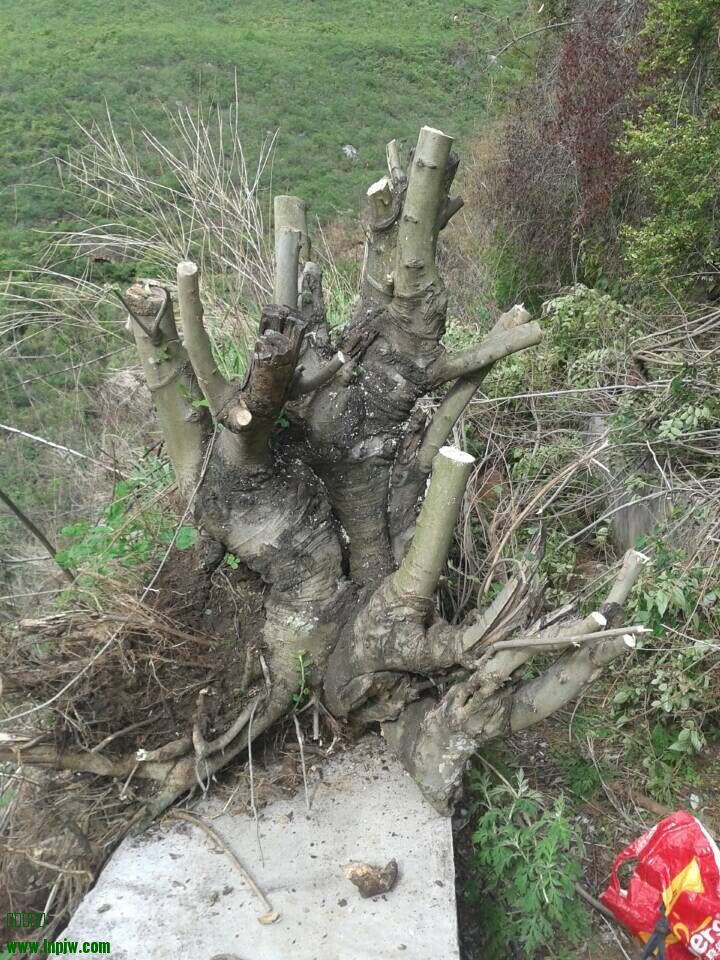 QQͼƬ20140621215542.jpg